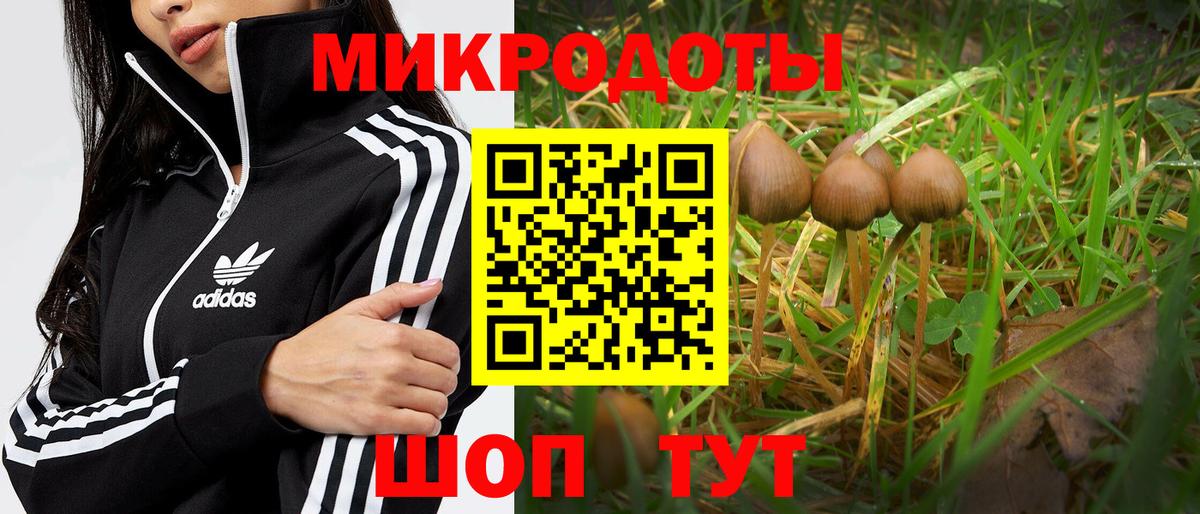 Псилоцибиновые грибы прущие грибы Кирово-Чепецк