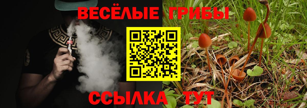 купить   Псилоцибиновые грибы прущие грибы  Вход с VPN  Кирово-Чепецк 